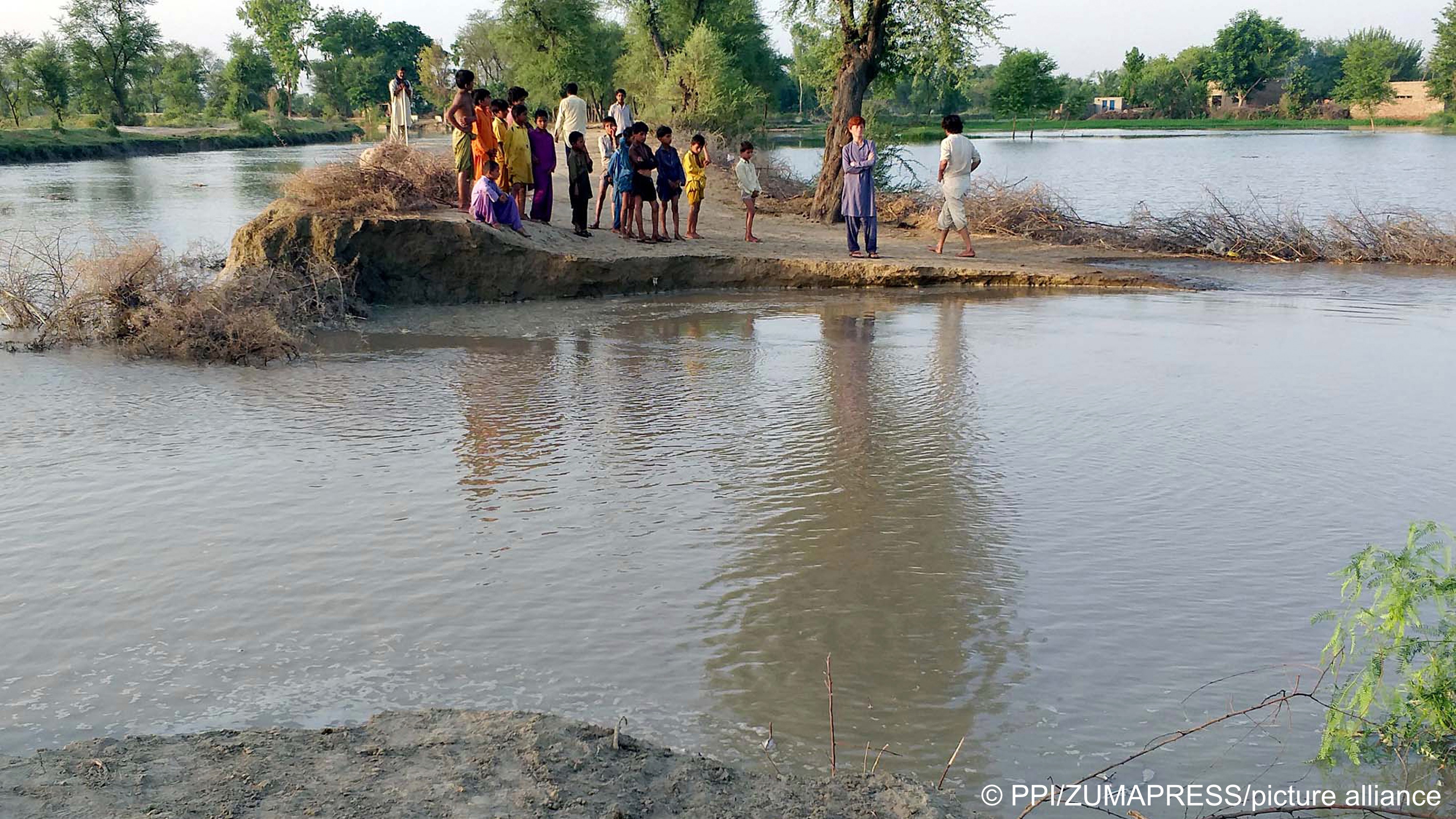 In der Nähe von Ubauro, Pakistan, wurden Baumwollplantagen nach Starkregen überschwemmt, Juni 2020 (Foto: picture-alliance)