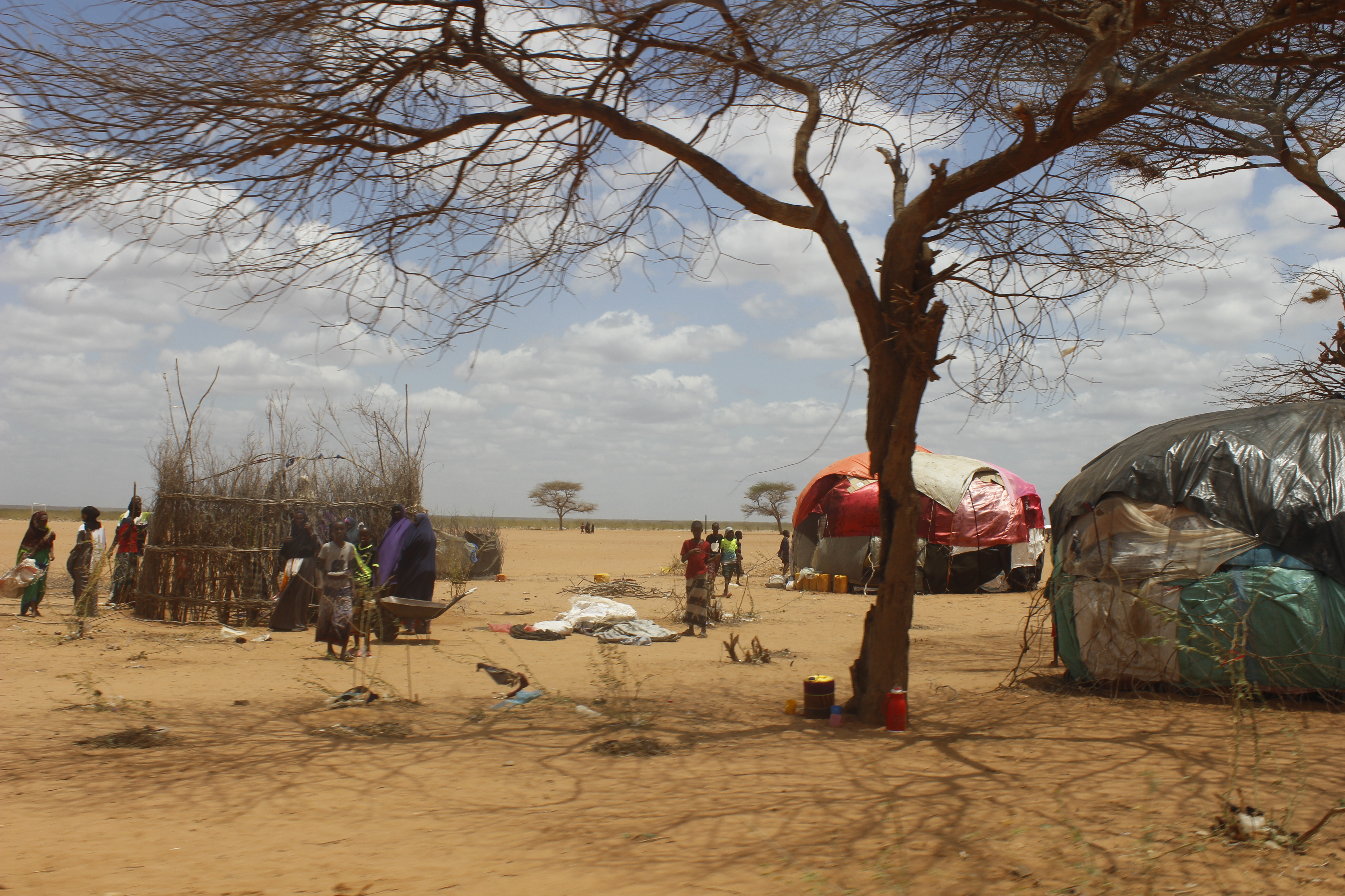 لاجئون صوماليون غير مسجلين يبنون أكواخاً خارج مخيم داداب للاجئين في شرق كينيا. Unregistered Somai refugees build shacks outside the Daadab refugee camp in eastern Kenya (image: Erik Siegl)