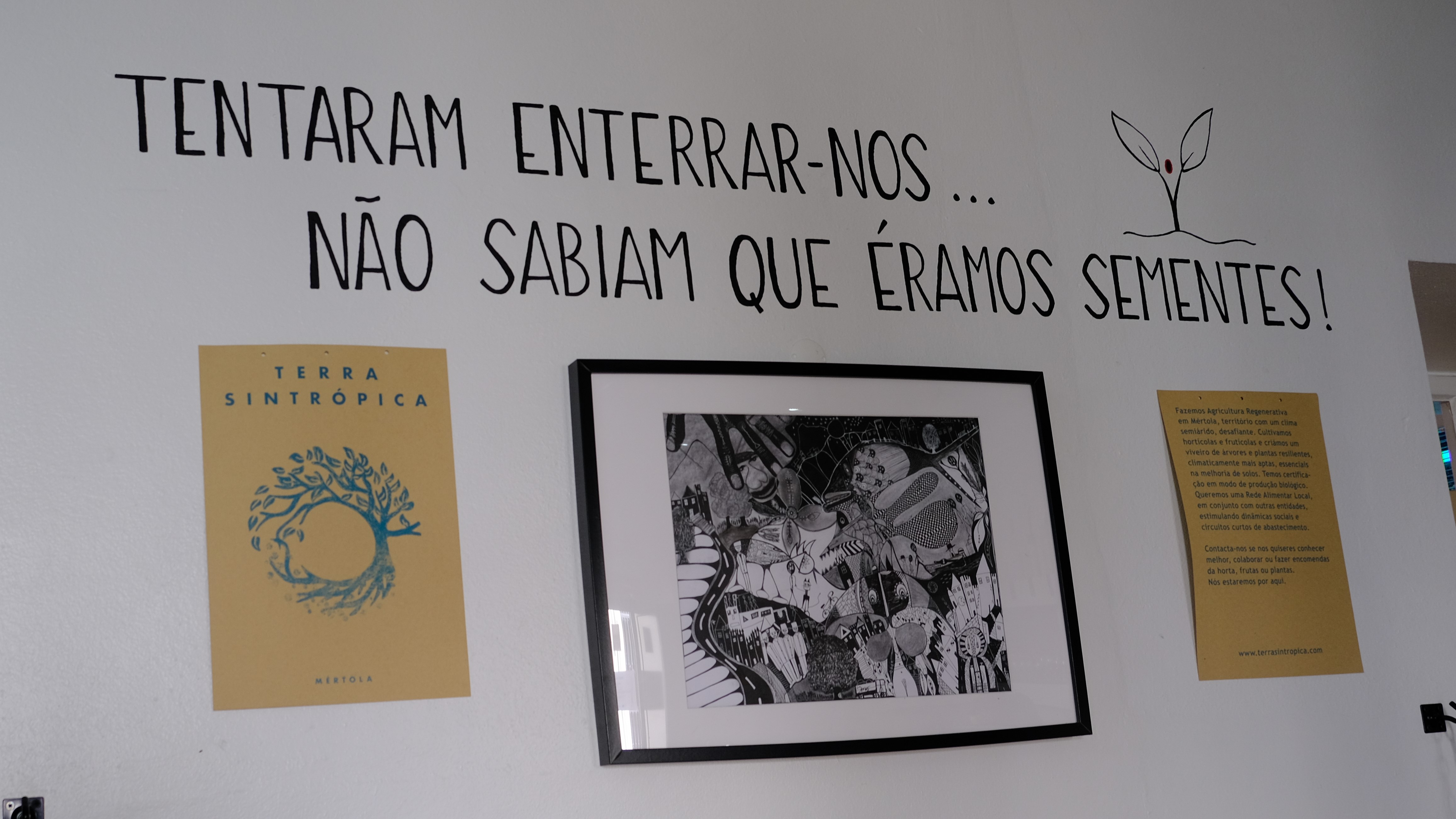 Ein Satz an der Wand des PREC-Büros auf Portugiesisch: "Sie wollten uns begraben. Sie haben vergessen, dass wir Samen sind." (Foto: Marta Vidal)