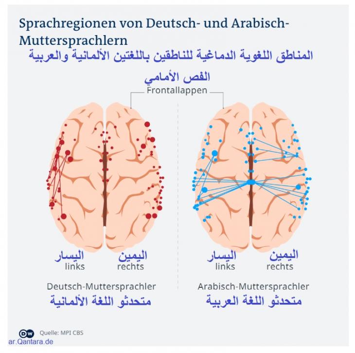 Sprachregionen-Deutsch-Arabisch. (Foto: MPI CBS)
