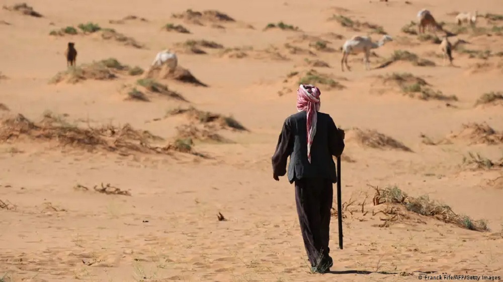 Experts say that as intense heat becomes more frequent, the Middle East will see a rise in heat-related deaths. Despite gaps in public health planning, this region could teach the world a lot about extreme heat. 