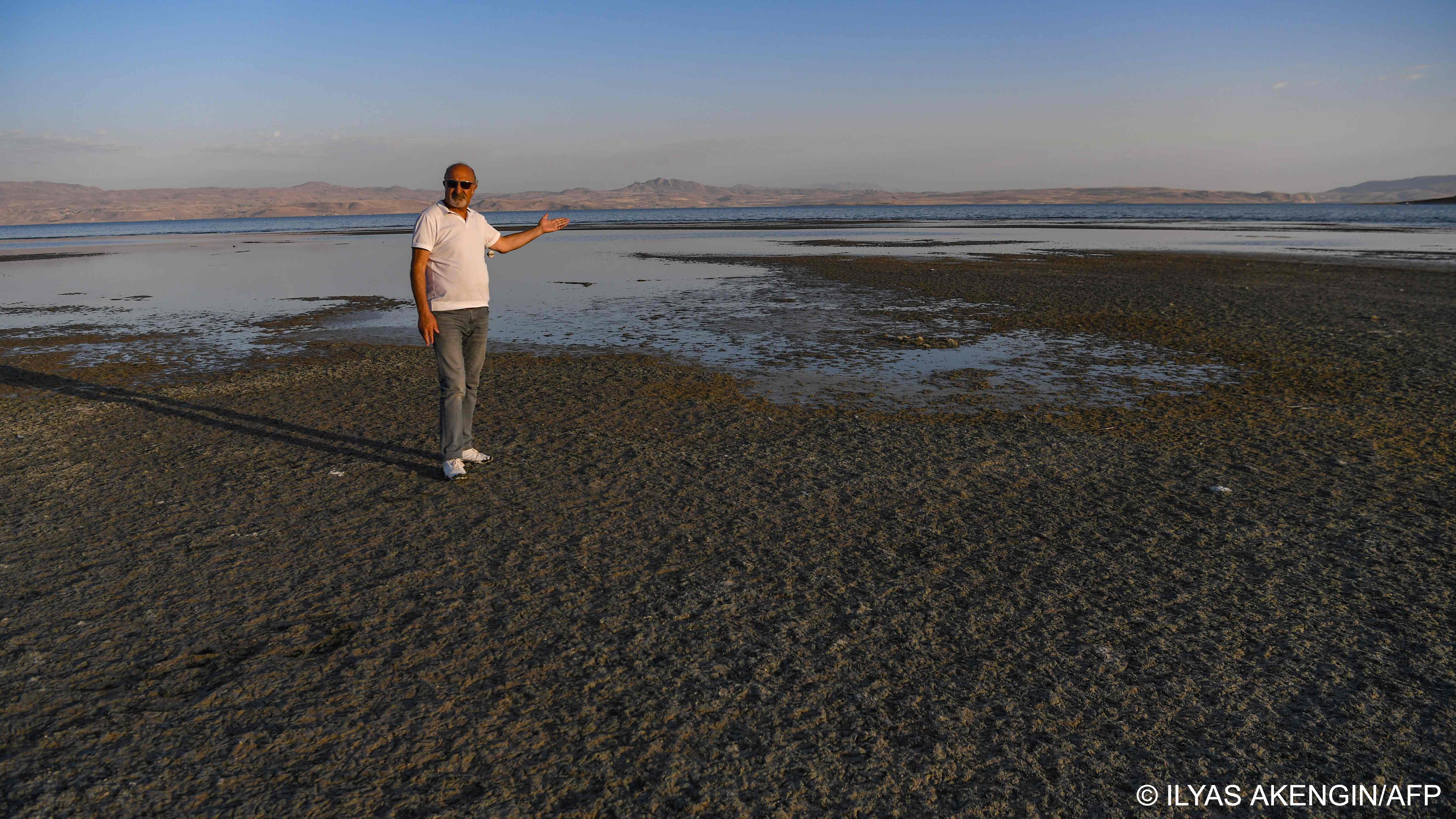 Kalcik stands on a dry bank of Lake Van, where the waters have receded by around four kilometres (image: ILYAS AKENGIN/AFP)