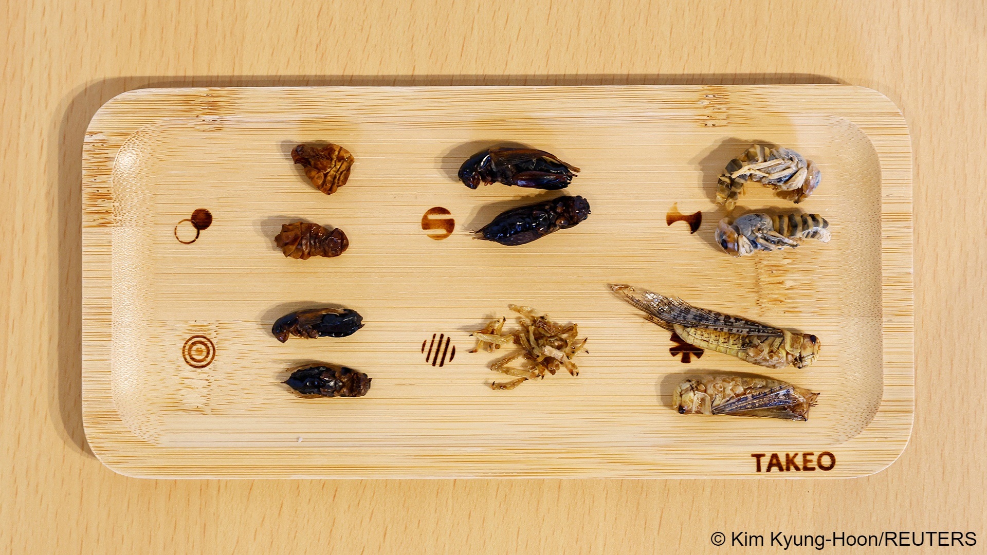 Im Take-Noko-Café in Tokio, Japan, sind verschiedene Insekten auf einem Teller abgebildet, 21. Juli 2023. (Foto; REUTERS/Kim Kyung-Hoon) 