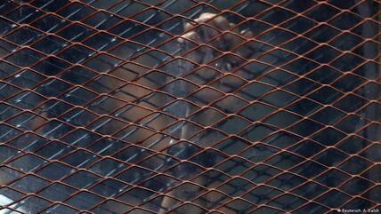 Muslimbrüder warten hinter Käfigen im Gericht auf ihre Urteile; Foto: Reuters/A.A.Dalsh