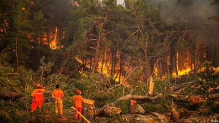 Die Waldbrände im Süden der Türkei bedrohen nach wie vor die Menschen, die ihr Hab und Gut zu retten versuchen. Dabei riskieren die Verzweifelten ihr Leben.