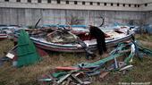 A man peers into a rickety wooden boat on dry land