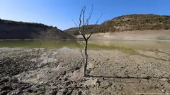 نقص المياه في محافظة إدلب السورية صيف 2021.