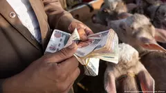  رجل يعُدّ رزمة من الأوراق النقدية المصرية.
